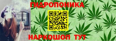 амф Шахты