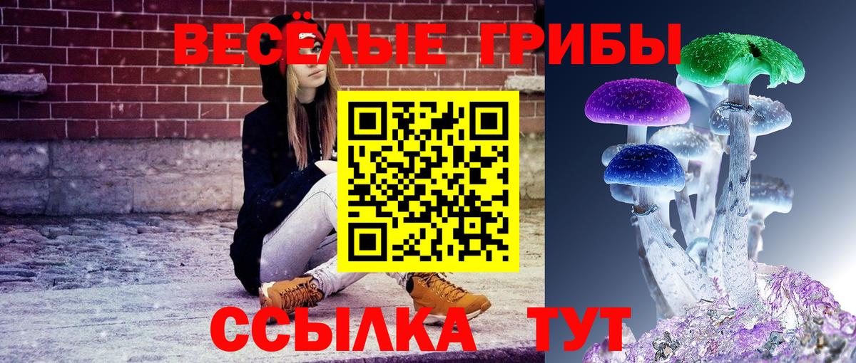 Псилоцибиновые грибы мицелий  Вход с VPN  Белая Калитва  Галлюциногенные грибы ЛСД 